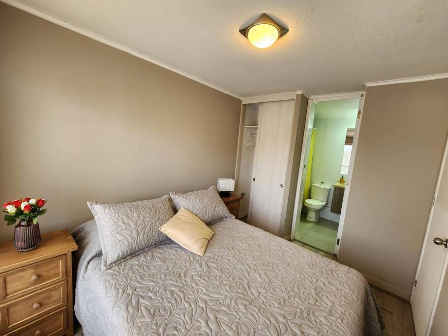 Acogedor Apartamento En Centro De Santiago. Kültér fotó